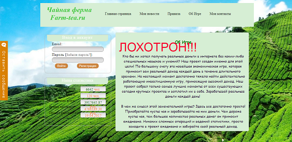 Чайная ферма Farm-tea.ru-отзывы о лохотроне