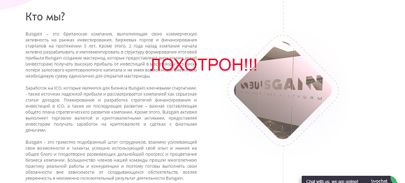 Buisgain - отзывы о компании