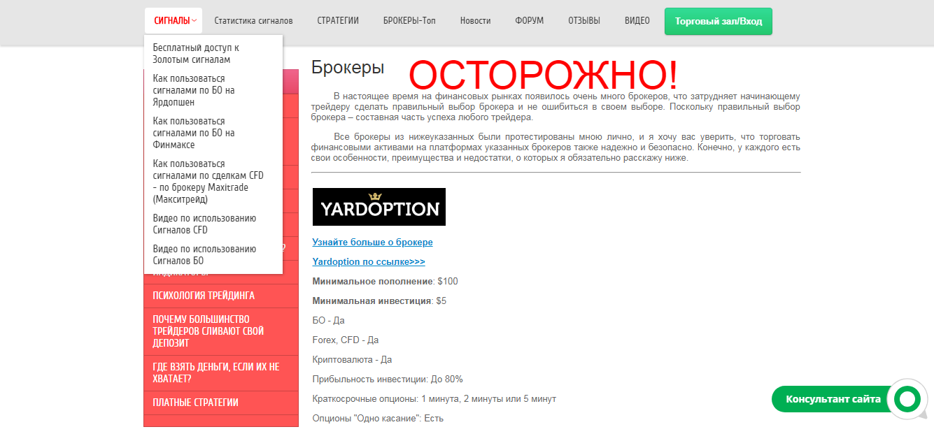 Binary-option.ru и Анна Андреевна - отзывы и обзор сайта