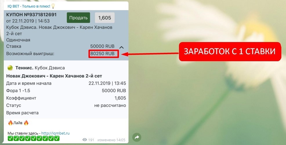 хороший заработок IQ BET