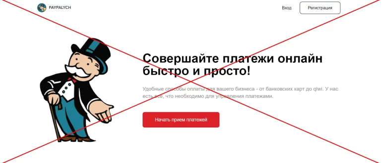 Скам сервис PayPalych - отзывы о компании