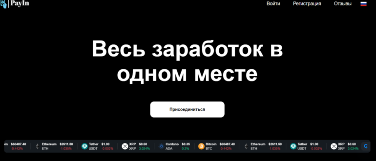 PayIn (epayin.pro) - отзывы