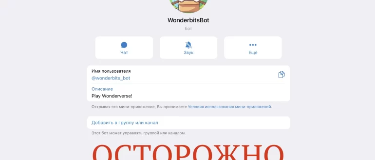 WonderBits отзывы и проверка. Честный проект?