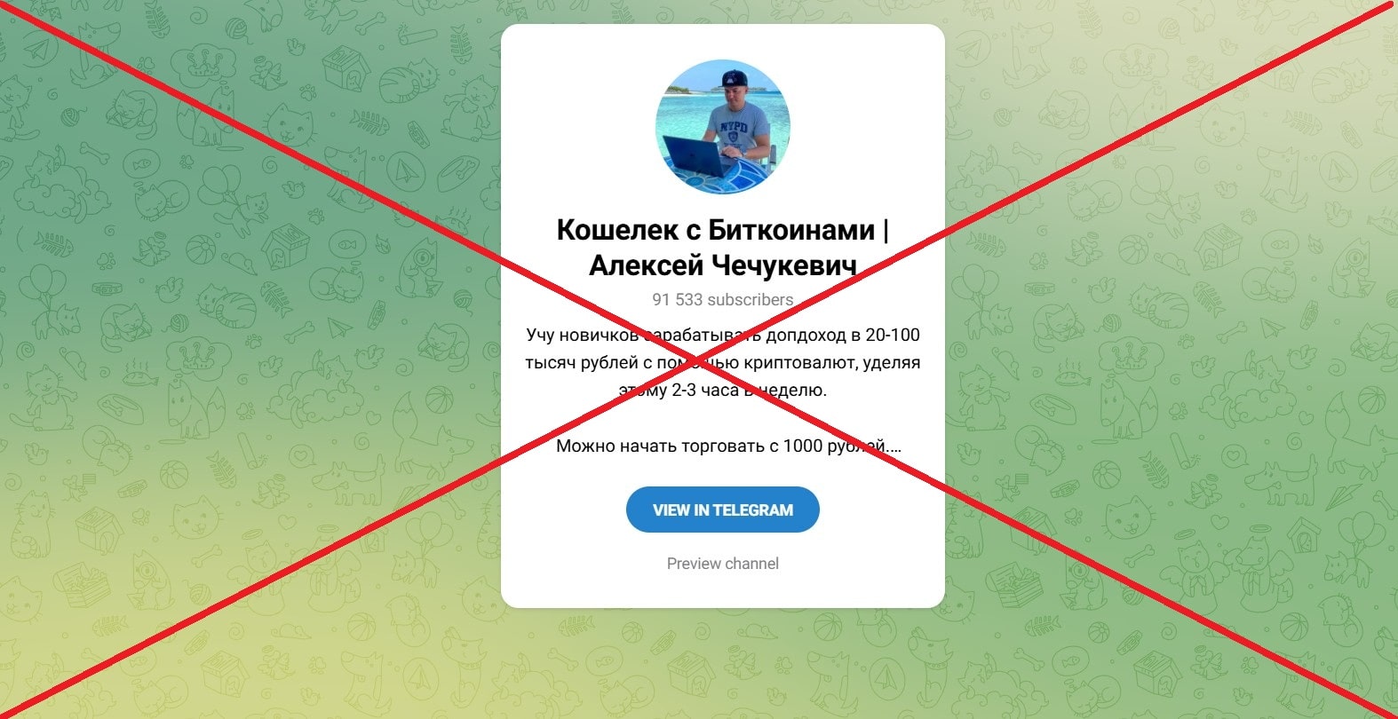 Кошелек с Биткоинами Алексей Чечукевич - отзывы: развод на крипте в телеграмм