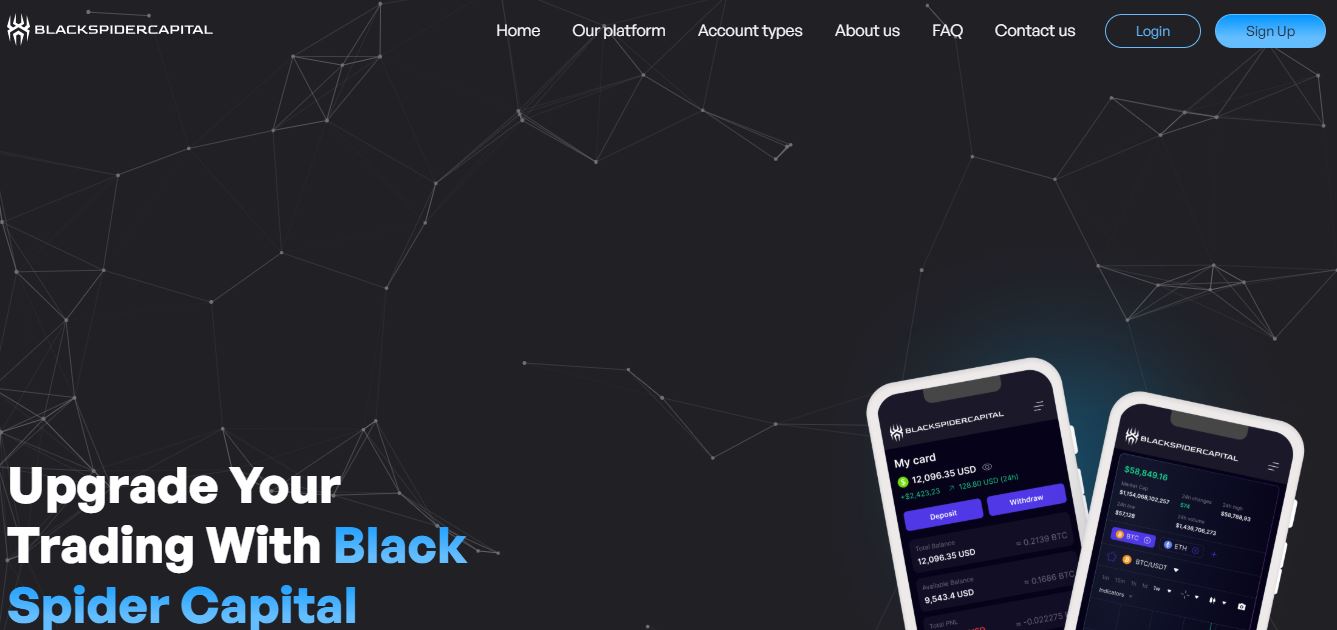 Black Spider Capital - честные отзывы о сомнительном брокере