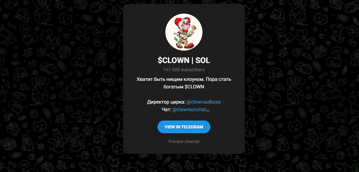 $CLOWN | SOL – что за канал, отзывы