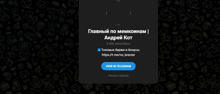 Главный по мемкоинам | Андрей Кот - что это за канал, честные отзывы