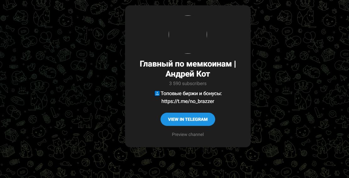 Главный по мемкоинам | Андрей Кот - что это за канал, честные отзывы