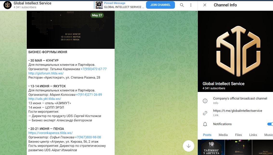 GLOBAL INTELLECT SERVICE обман