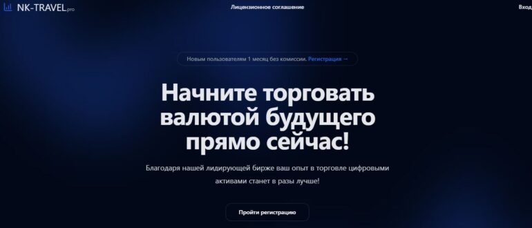 NK TRAVEL (nk-travel.pro) - отзывы о бирже и брокере