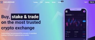 CaelumChain - разбор и отзывы о криптовалютной платформе